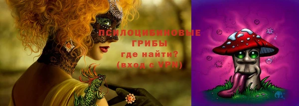 дмт Алексеевка