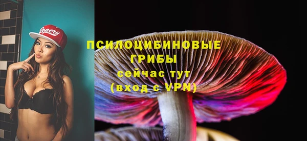 дмт Алексеевка
