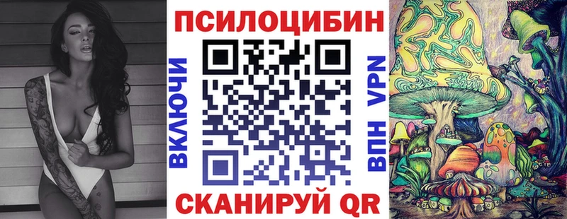 где найти наркотики  Тавда  Псилоцибиновые грибы MAGIC MUSHROOMS 