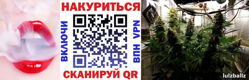 Бошки Шишки ГИДРОПОН  где купить наркотик  Тавда 